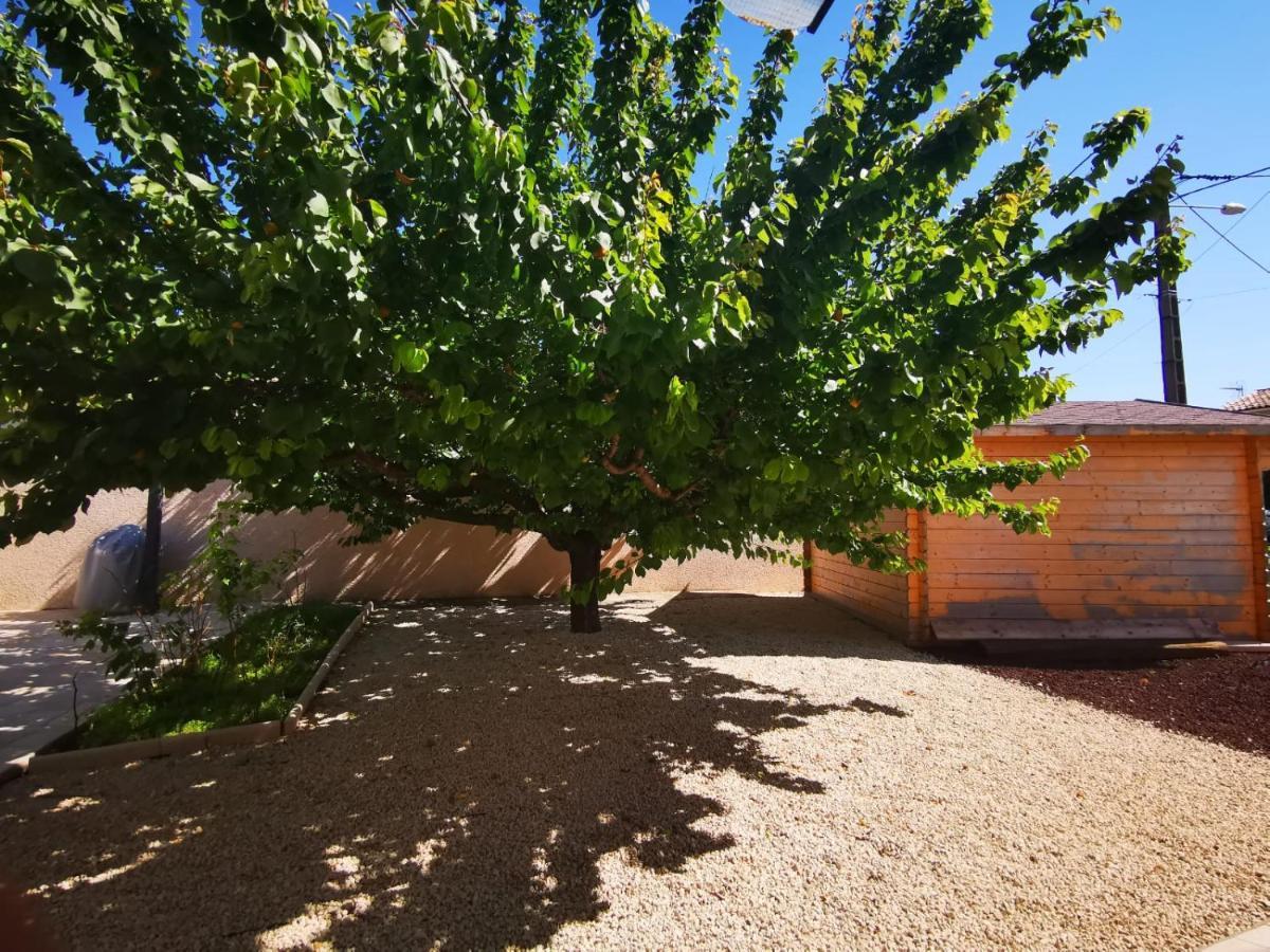 Gites Avec Grande Piscine Et Sa Terrasse Privative Bernis Екстериор снимка